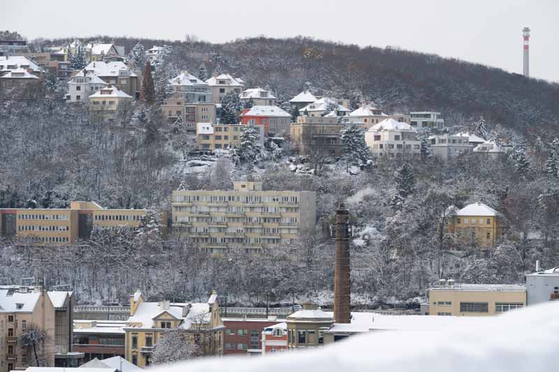 How to Take Great Photos in the Snow: A Beginner's Guide